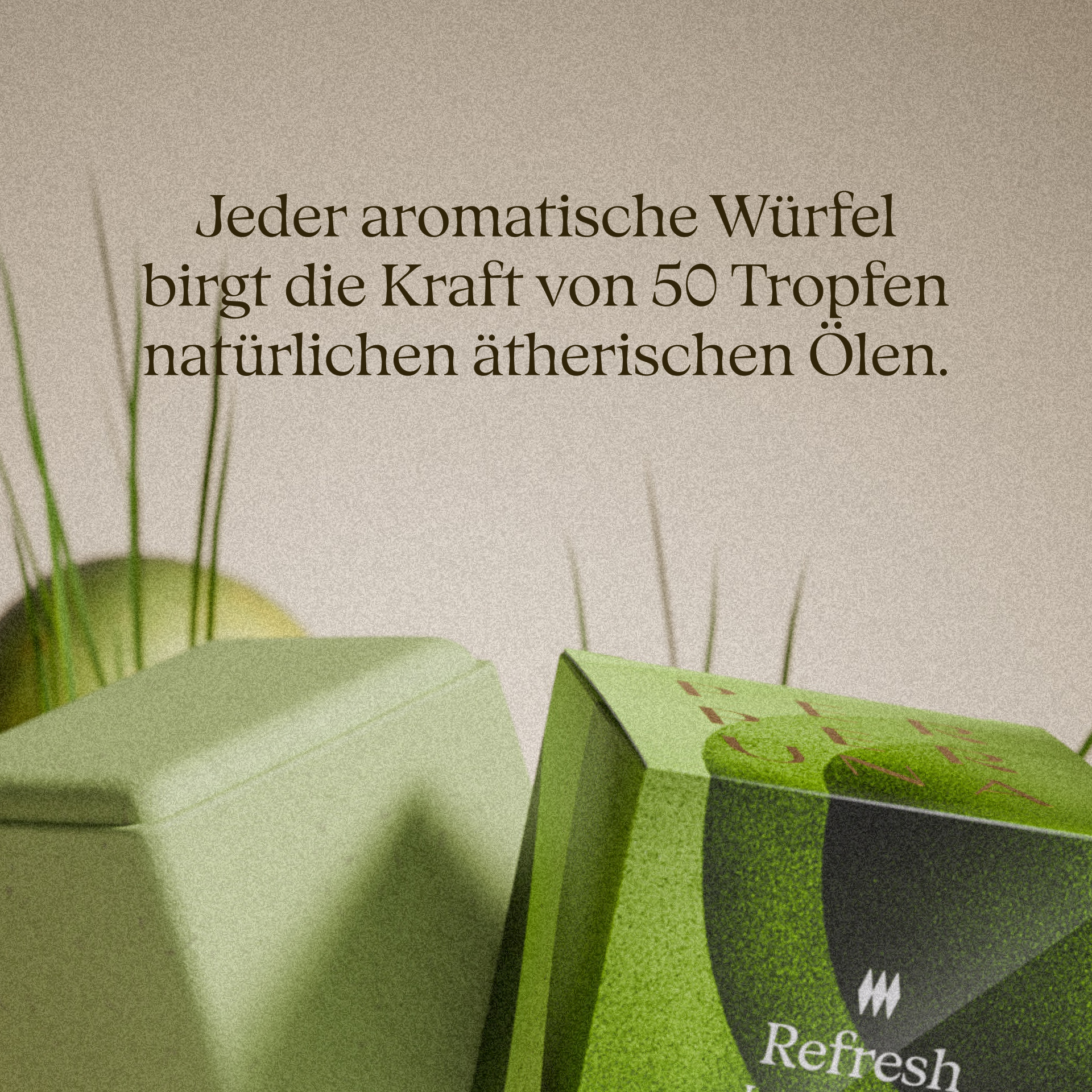 Refresh - Aromawürfel für die Dusche