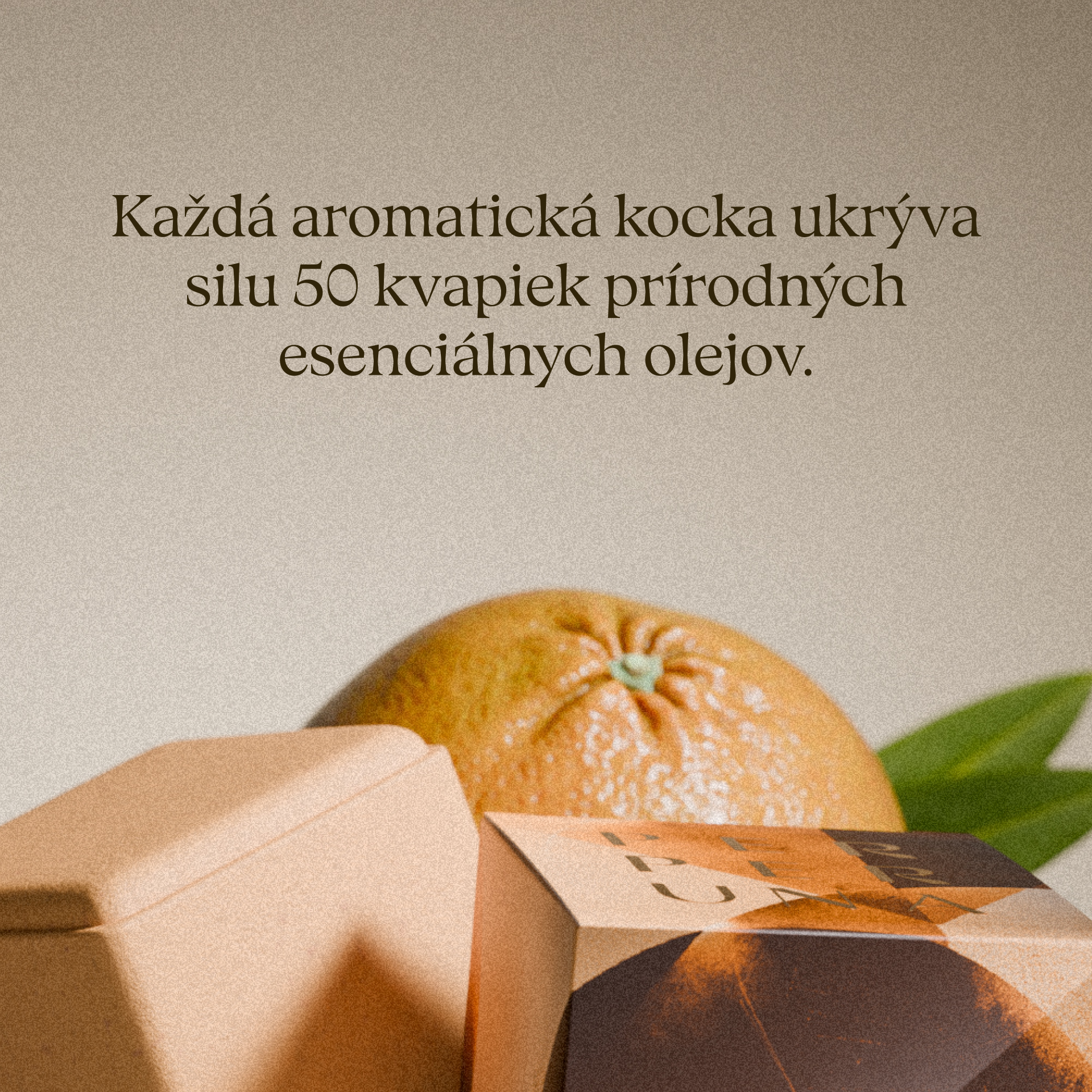 Balance - Aromatisches Duschstück