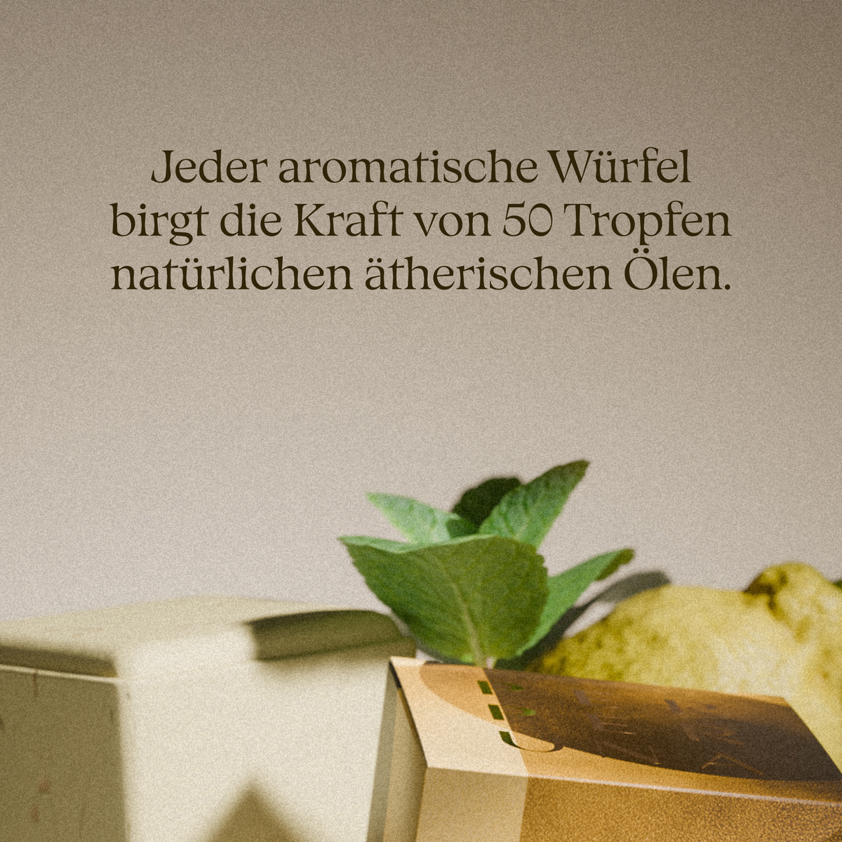 Uplift - Aromawürfel für die Dusche
